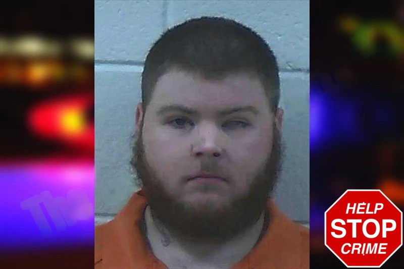 Brendan Nicholson-Sanders Mugshots