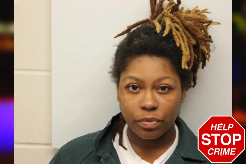 Bria Stephens Mugshots