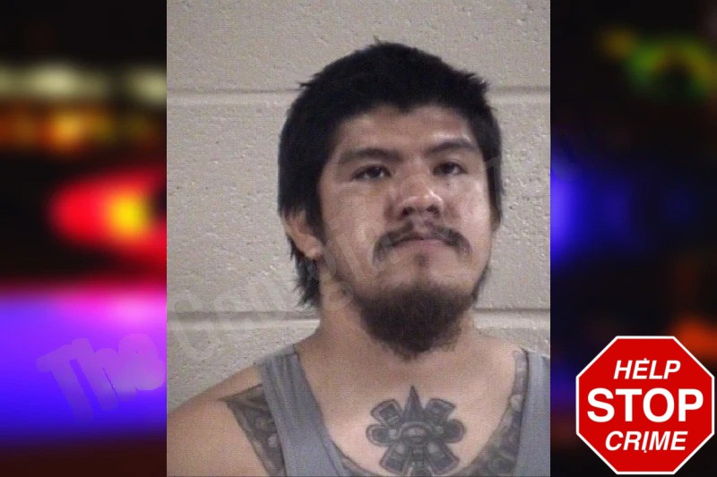 Brian Gallardo-Olvera Mugshots