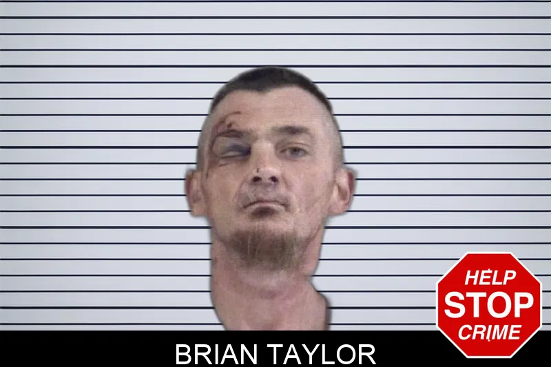 Brian Taylor Mugshots