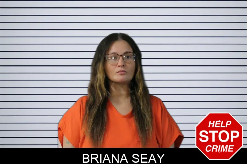 Briana Seay Mugshots