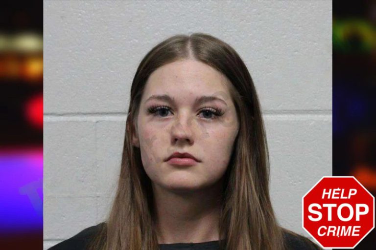 Brianna Bryant mugshot – Habersham County , Georgia Brianna Bryant