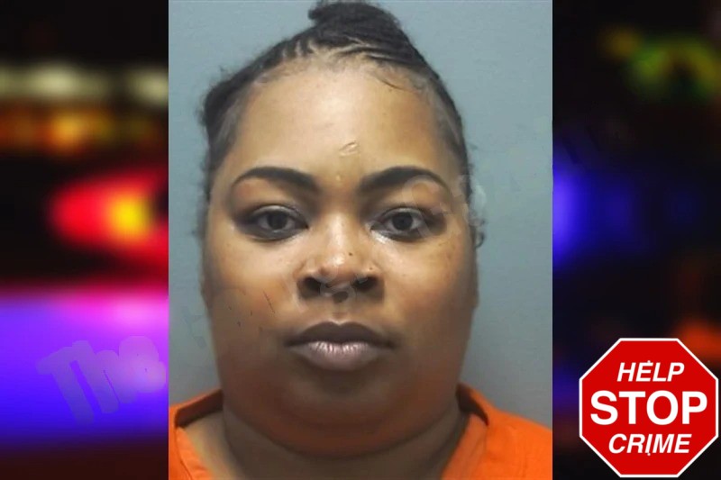 Brianna Cole Mugshots