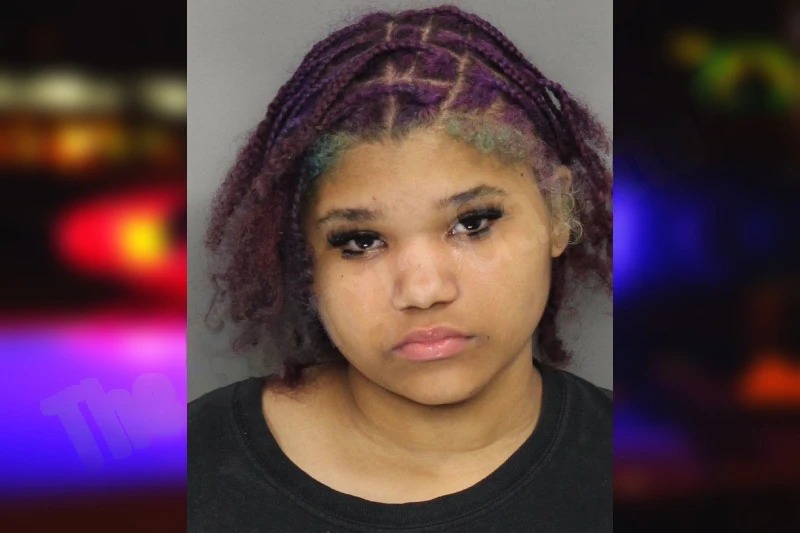 Brianna Higgs Mugshots