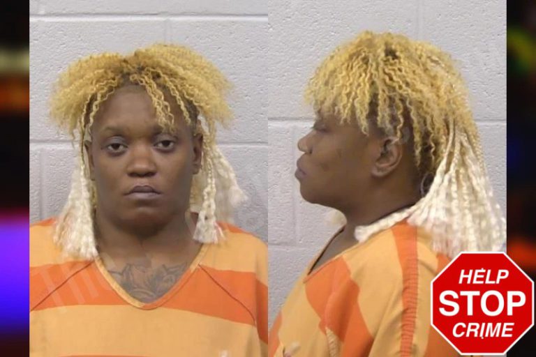 Brianna Odom mugshot – Paulding County , Georgia Brianna Odom