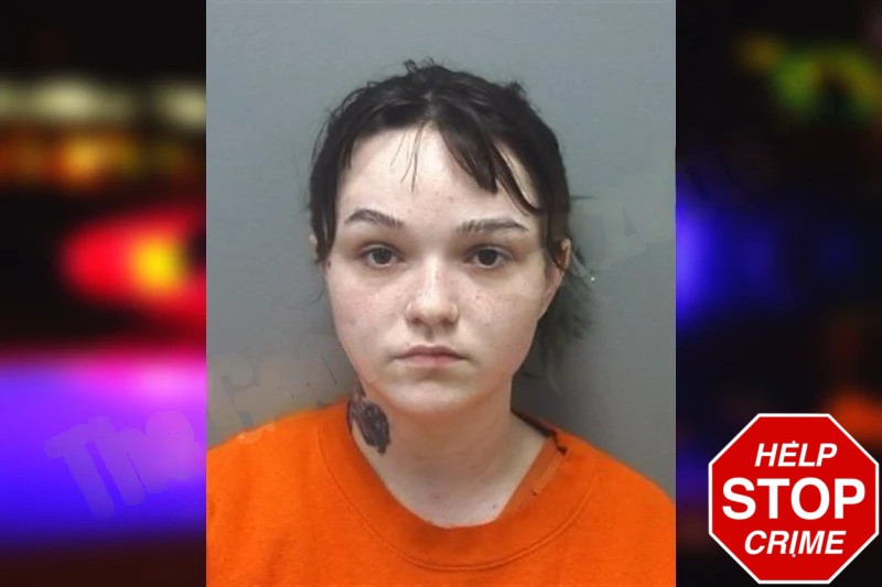 Briannah Painter Mugshots