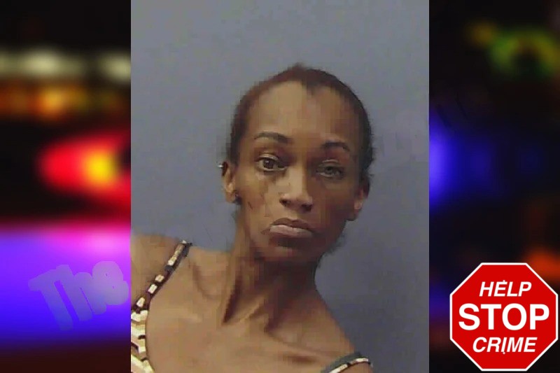 Bridget Adams Mugshots