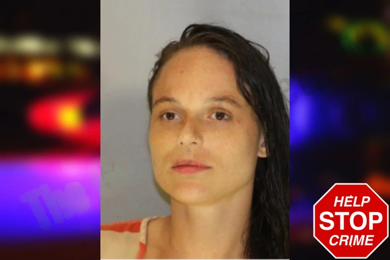 Bridgette Lorenzo Mugshots