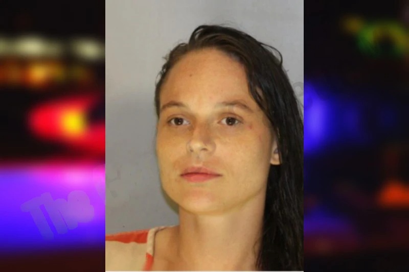 Bridgette Lorenzo Mugshots