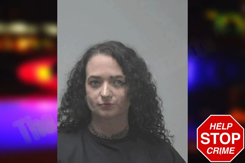 Bridgette Toles Mugshots