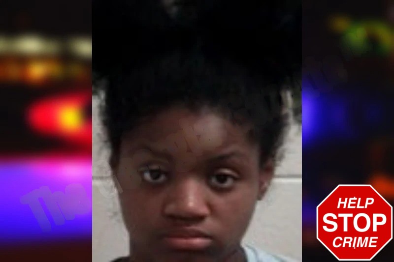 Brielle Williams Mugshots