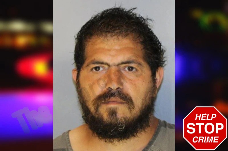 Brion Cunningham Mugshots