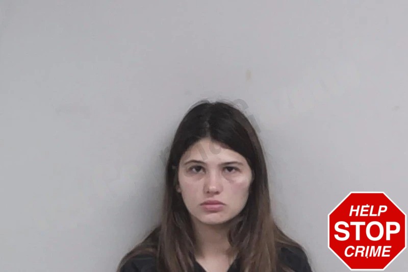 Britini Hall Mugshots