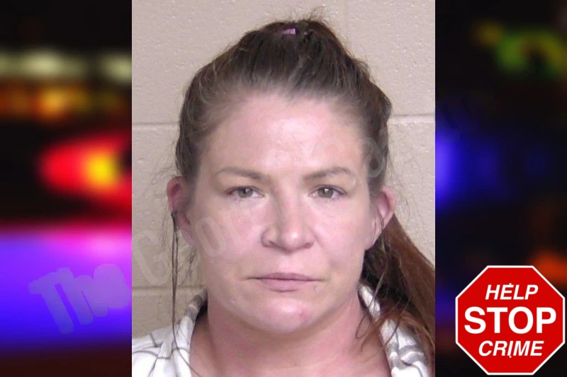 Britney Bailey Mugshots