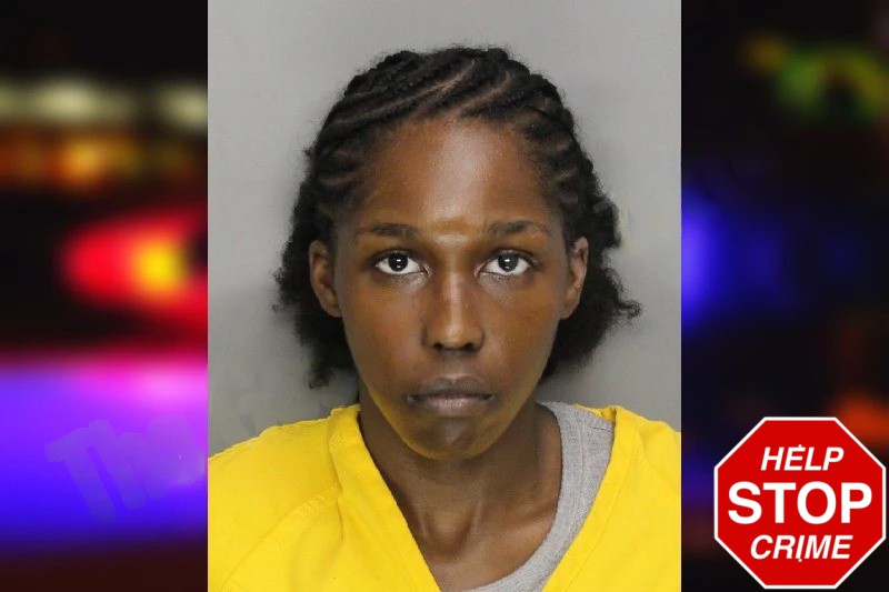 Britney Moses mugshot