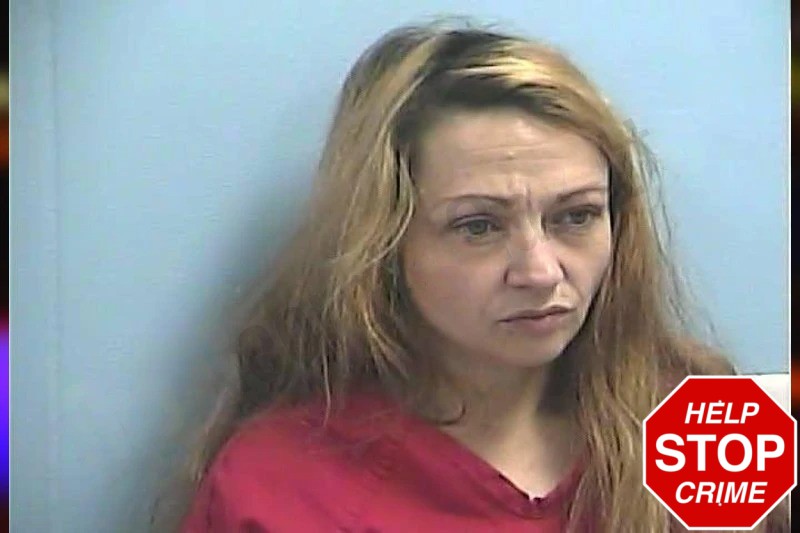 Brittanee Hammond Mugshots