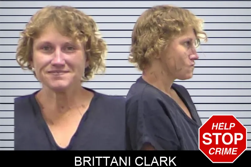 Brittani Clark Mugshots