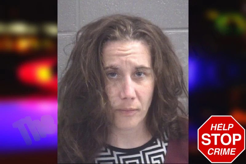 Brittani Robbins Mugshots