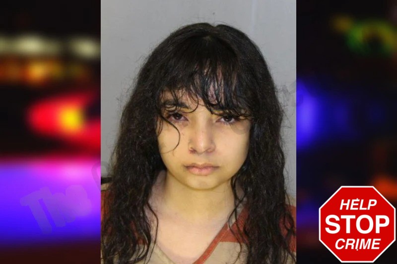 Brittany Arroyo Mugshots