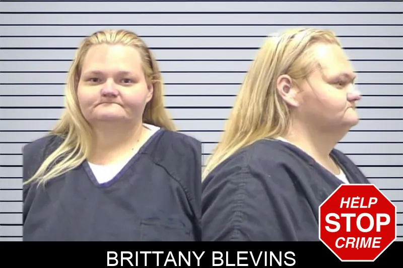 Brittany Blevins Mugshots