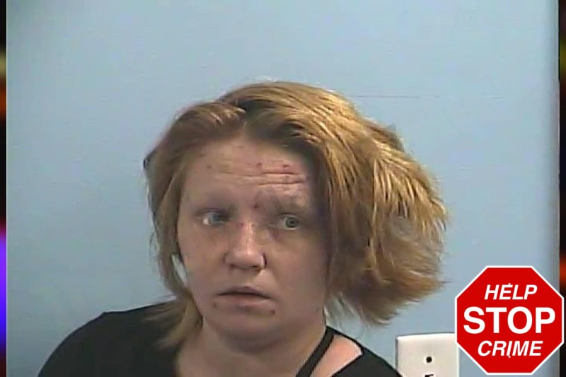 Brittany Bugari Mugshots