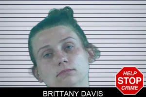 Brittany Davis mugshot