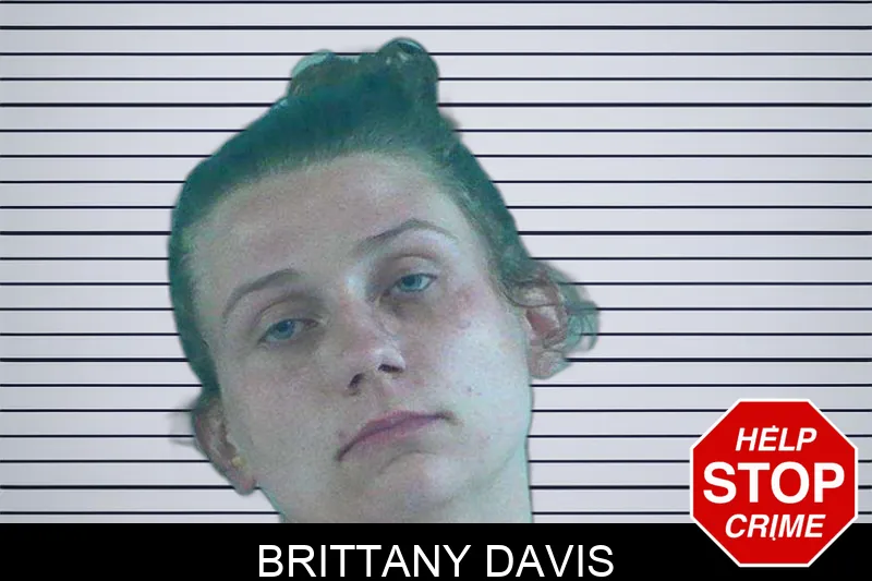 Brittany Davis Mugshots