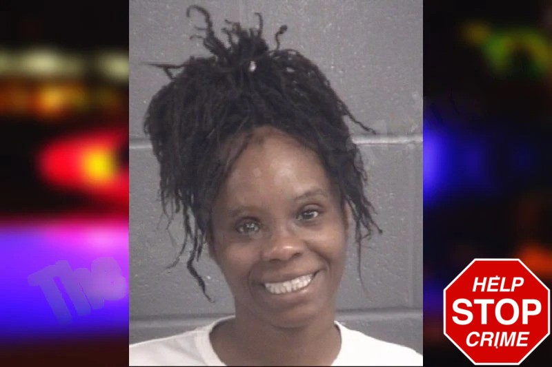 Brittany Evans mugshot