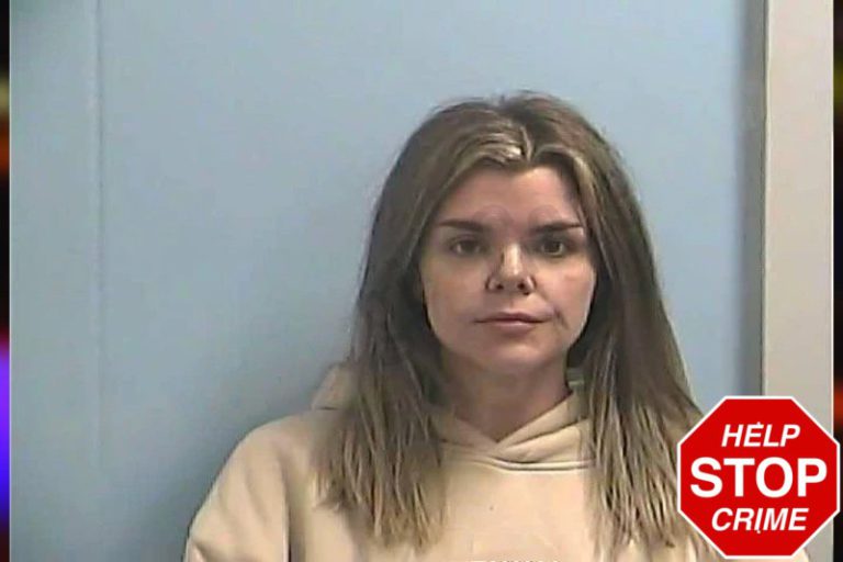Brittany Hewitt mugshot – Dawson County , Georgia Brittany Hewitt