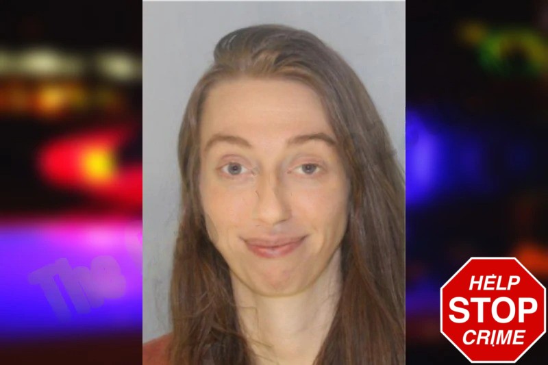 Brittany List mugshot – Hall County , Georgia Brittany List mugshot