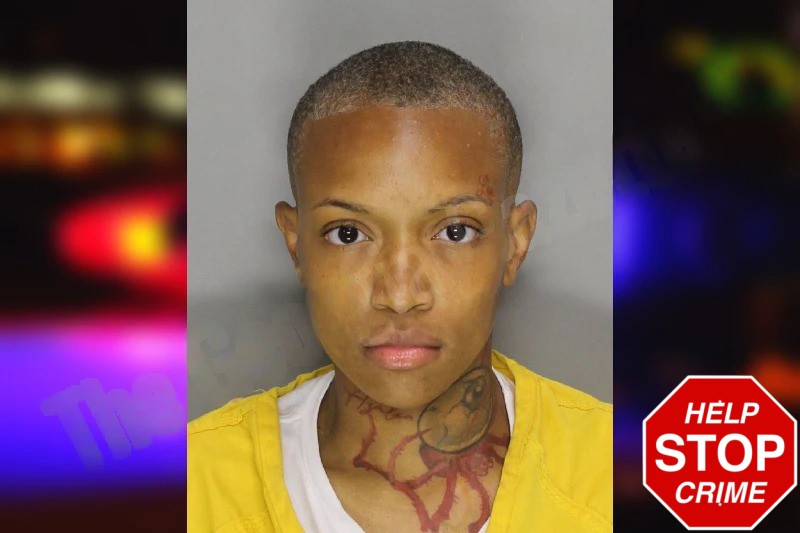 Brittany Parson Mugshots