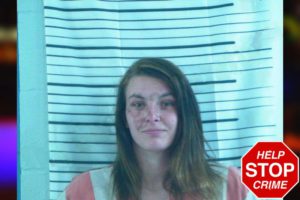 Brittany Sellers mugshot