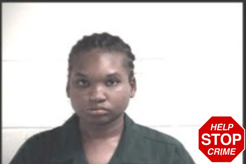 Brittany Sims Mugshots