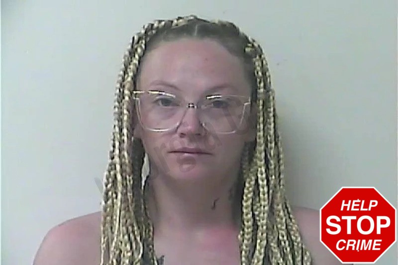Brittany Thornhill mugshot