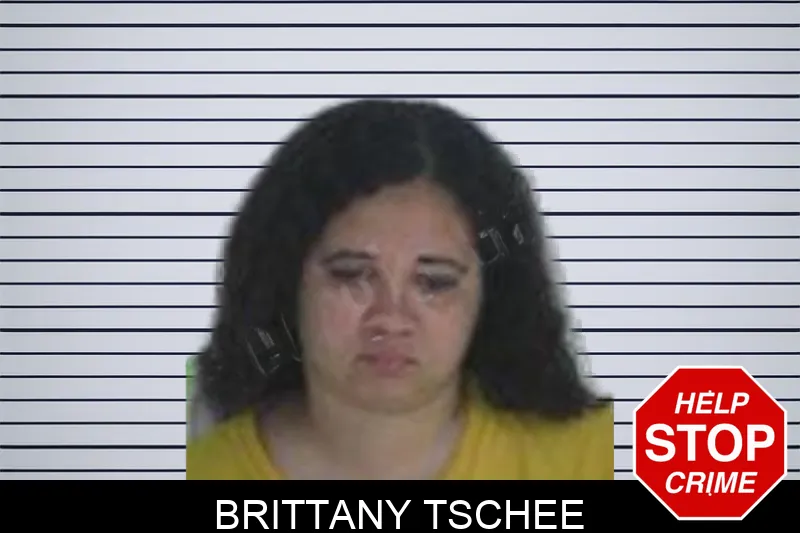 Brittany Tschee Mugshots