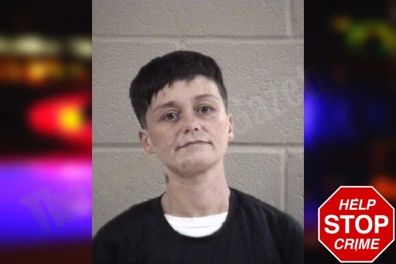 Brittany Welborn Mugshots