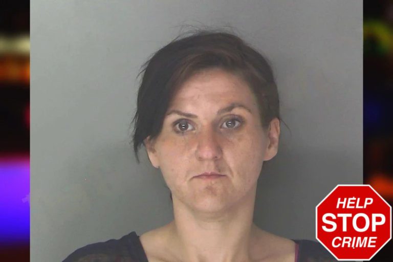 Brittany Westbrook mugshot – Douglas County , Georgia Brittany Westbrook