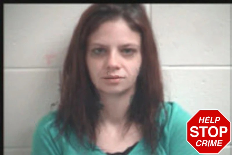 Brittney Cook Mugshots