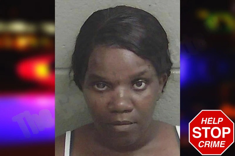 Brittney Cooper mugshot – Wayne County , Georgia Brittney Cooper mugshot