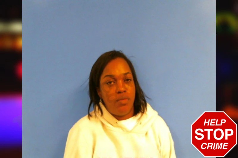 Brittney Gunn Mugshots