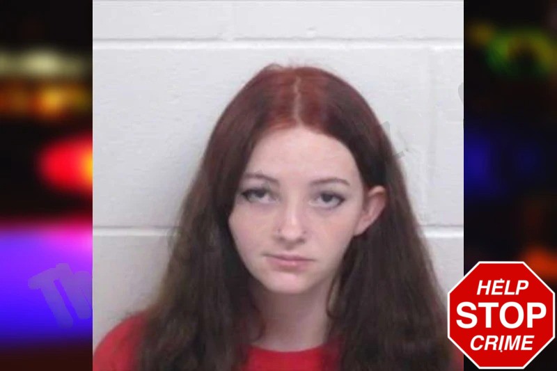 Brittney Johnson Mugshots