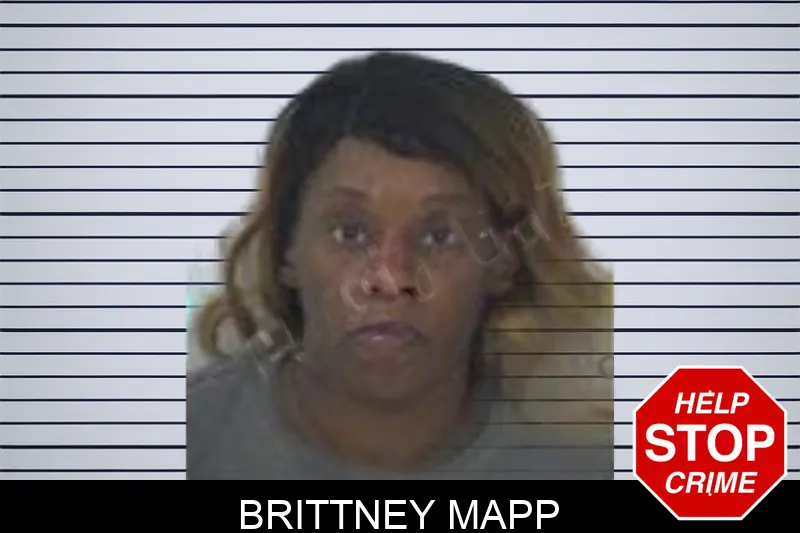 Brittney Mapp mugshot – Fayette County , Georgia Brittney Mapp mugshot