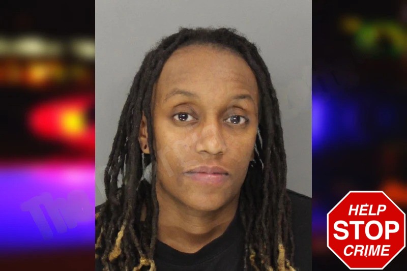 Brittney Rittenberry Mugshots