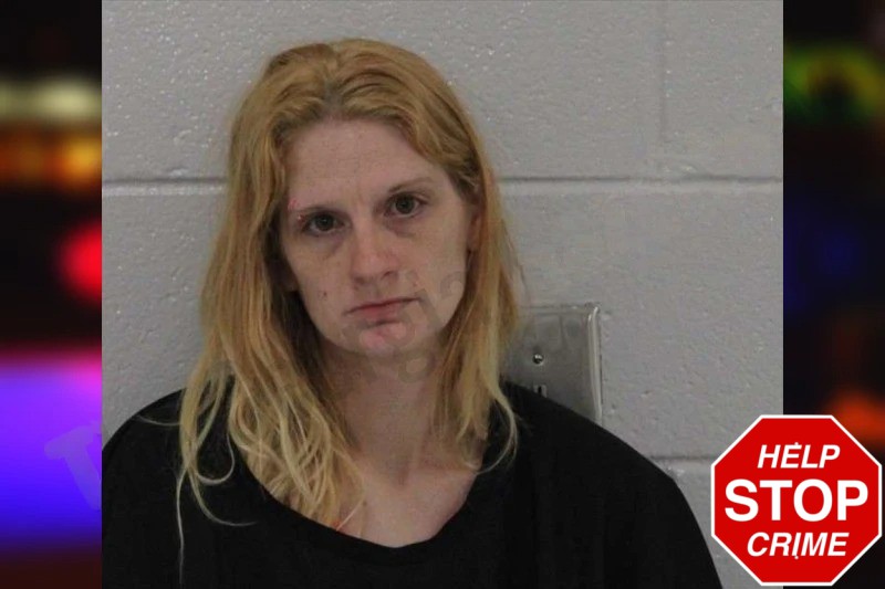 Brittney Wood Mugshots