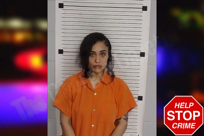 Briyana Robertson Mugshots