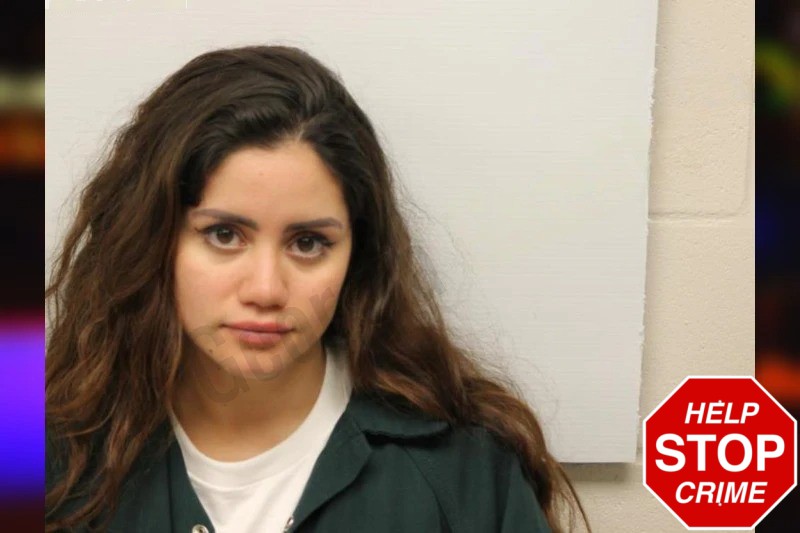 Brizeth Del Campo Hernandez Mugshots