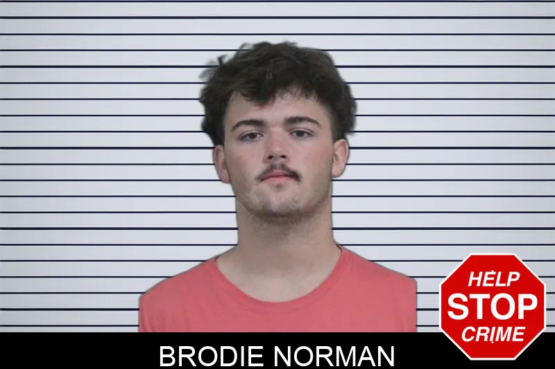 Brodie Norman Mugshots
