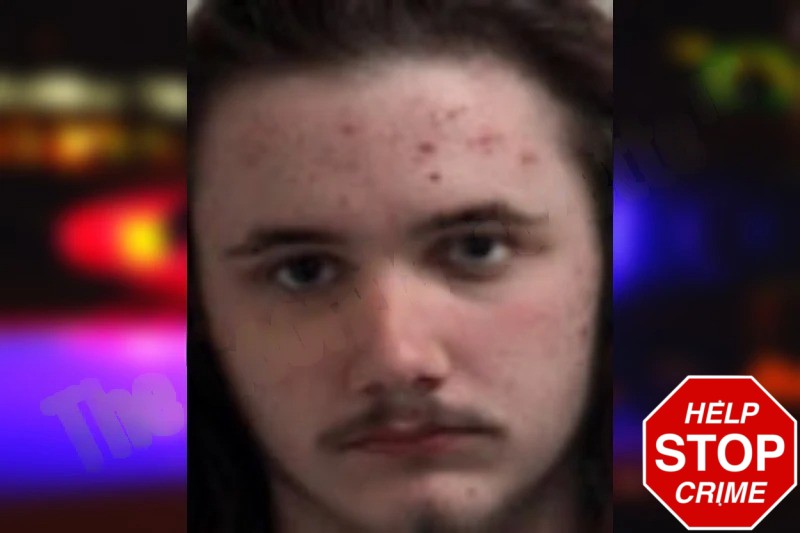 Brody Collins Mugshots