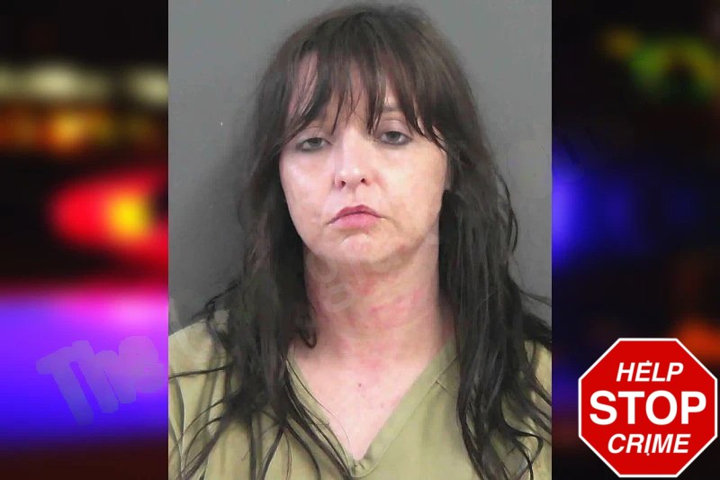 Brooke Holt Mugshots