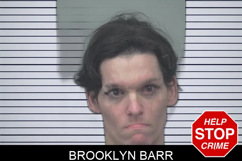 Brooklyn Barr Mugshots